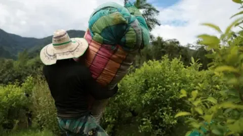 US Labels Colombia as Failing to Cooperate in Drug War