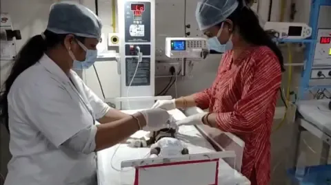 Newborn Interred Living in the Country Struggles for Her Life