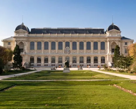 Priceless Golden Samples Snatched in Daring Heist at French Natural History Museum